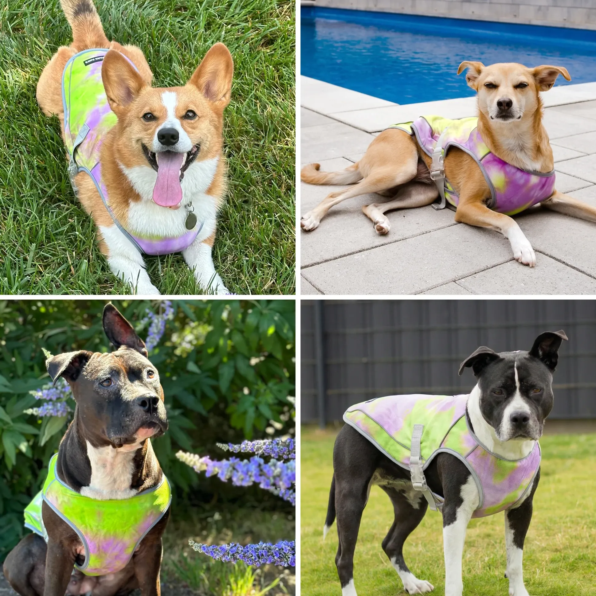 Chilltech™ Dog Cooling Vests