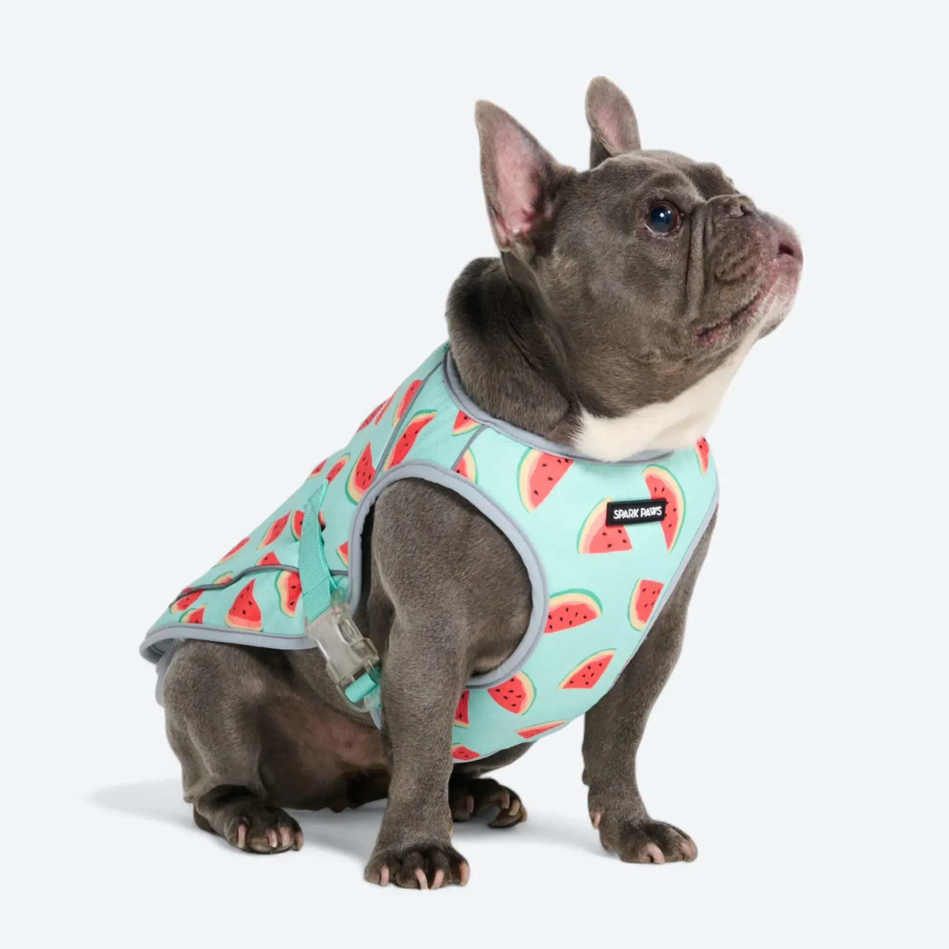 Chilltech™ Dog Cooling Vests