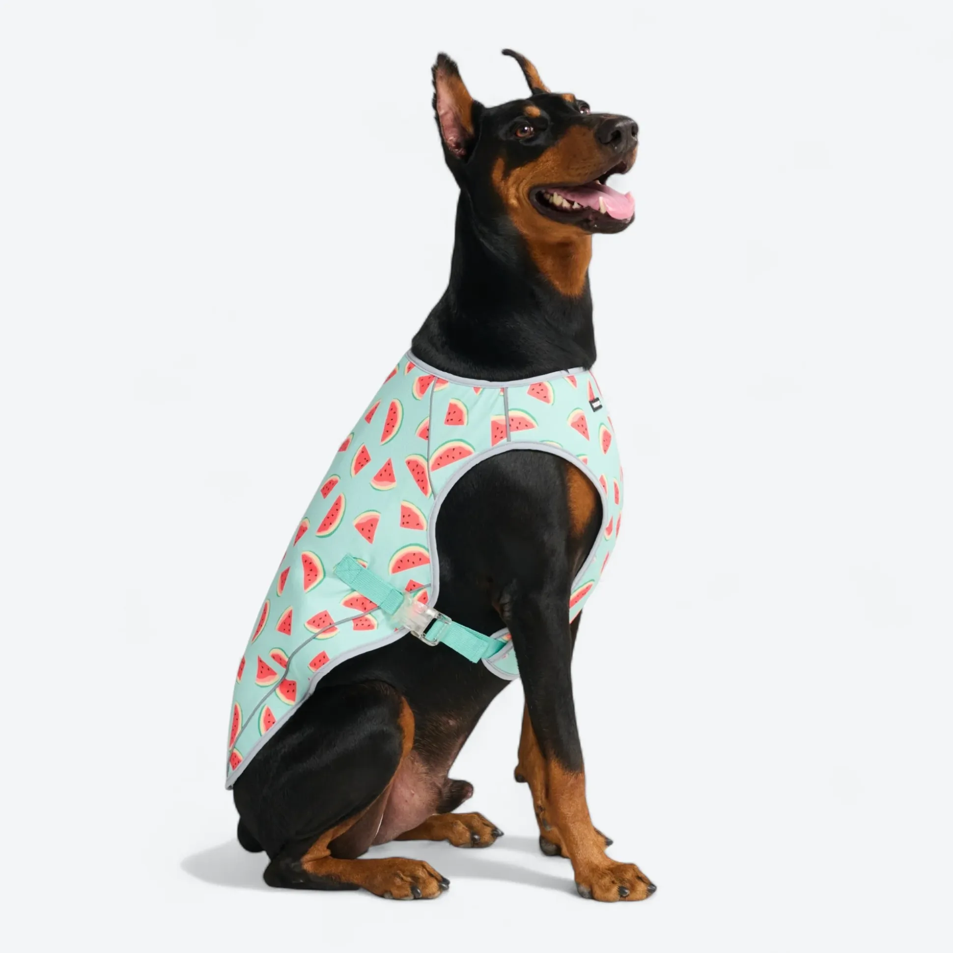 Chilltech™ Dog Cooling Vests