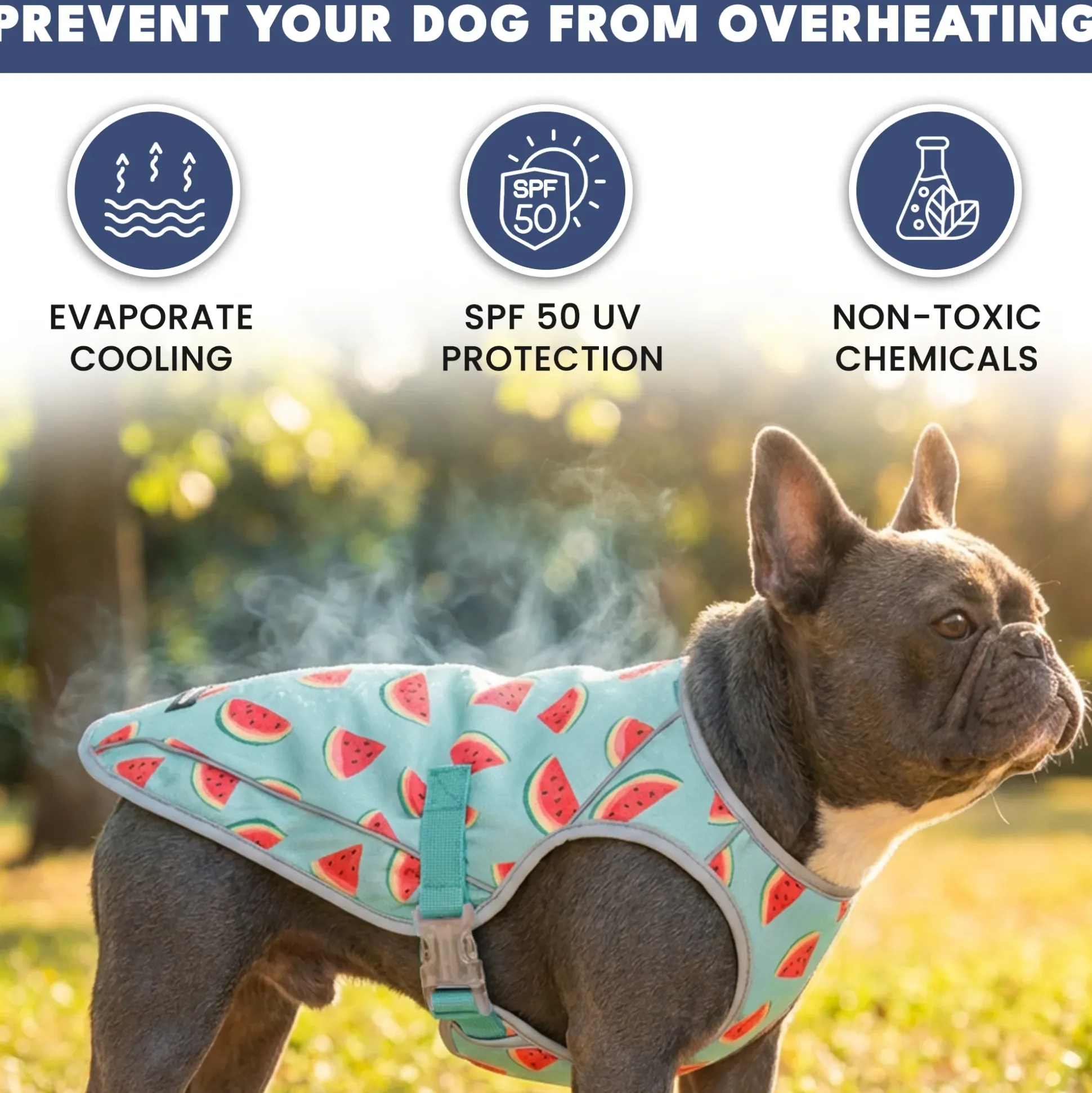 Chilltech™ Dog Cooling Vests