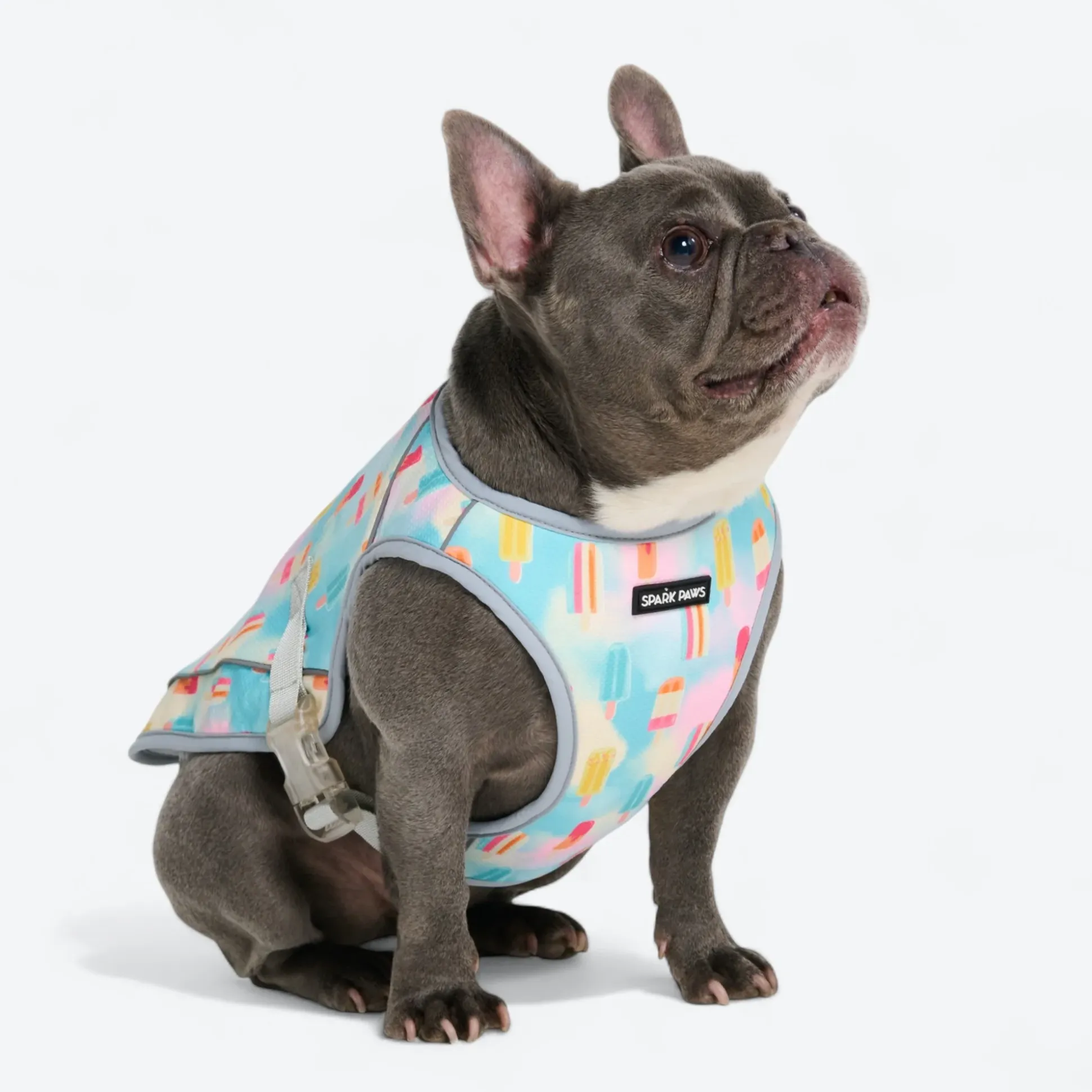Chilltech™ Dog Cooling Vests