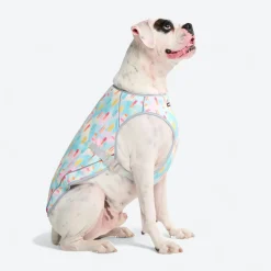 Chilltech™ Dog Cooling Vests