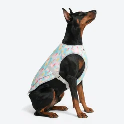 Chilltech™ Dog Cooling Vests