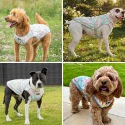 Chilltech™ Dog Cooling Vests