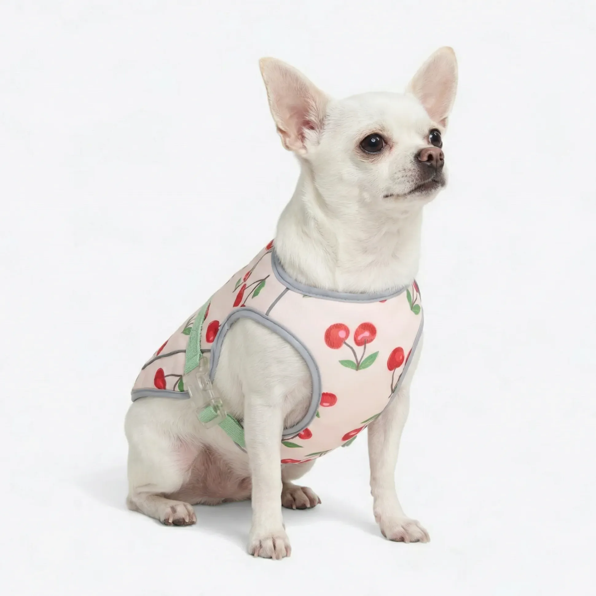 Chilltech™ Dog Cooling Vests