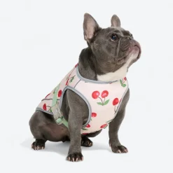 Chilltech™ Dog Cooling Vests