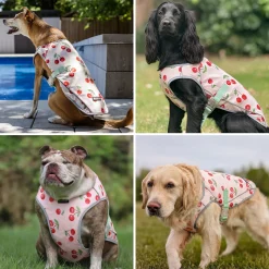 Chilltech™ Dog Cooling Vests