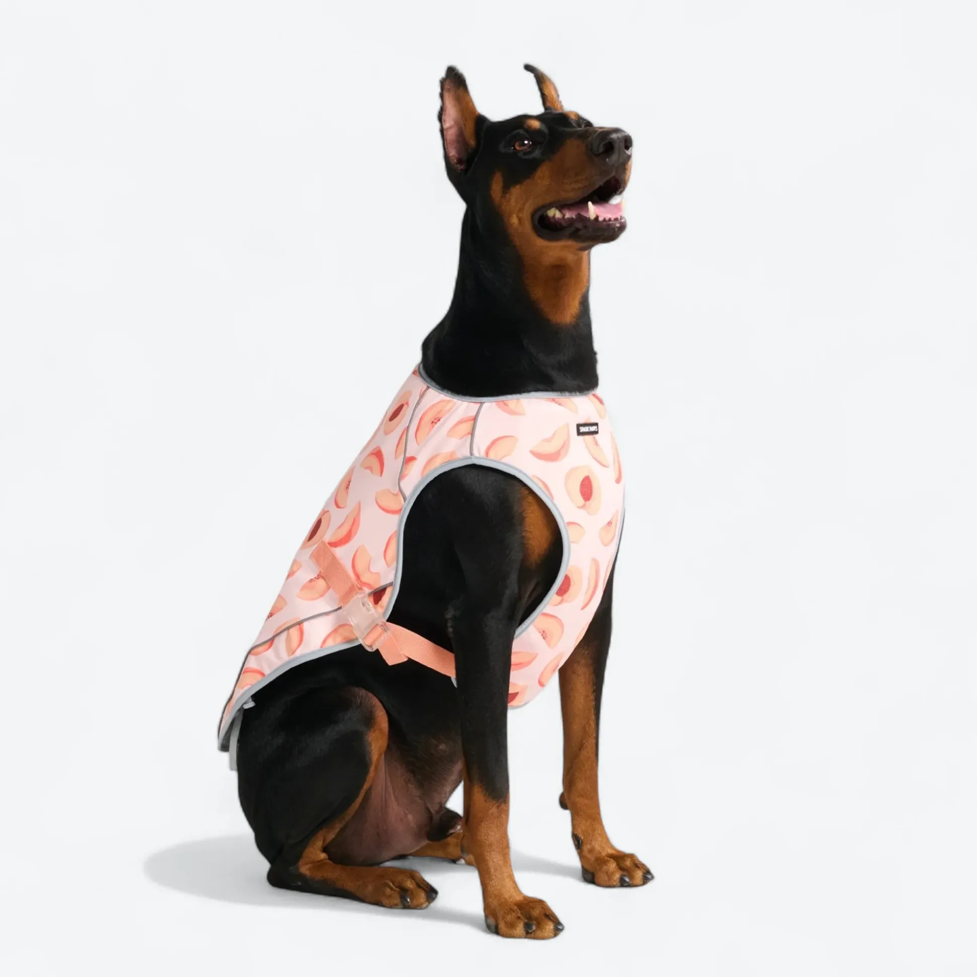 Chilltech™ Dog Cooling Vests