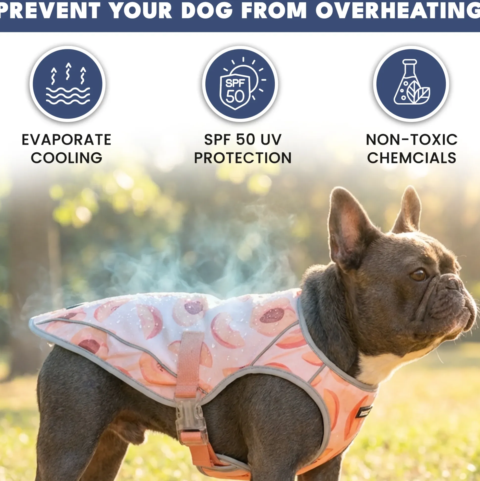 Chilltech™ Dog Cooling Vests