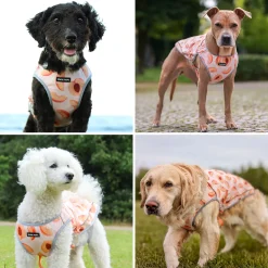 Chilltech™ Dog Cooling Vests