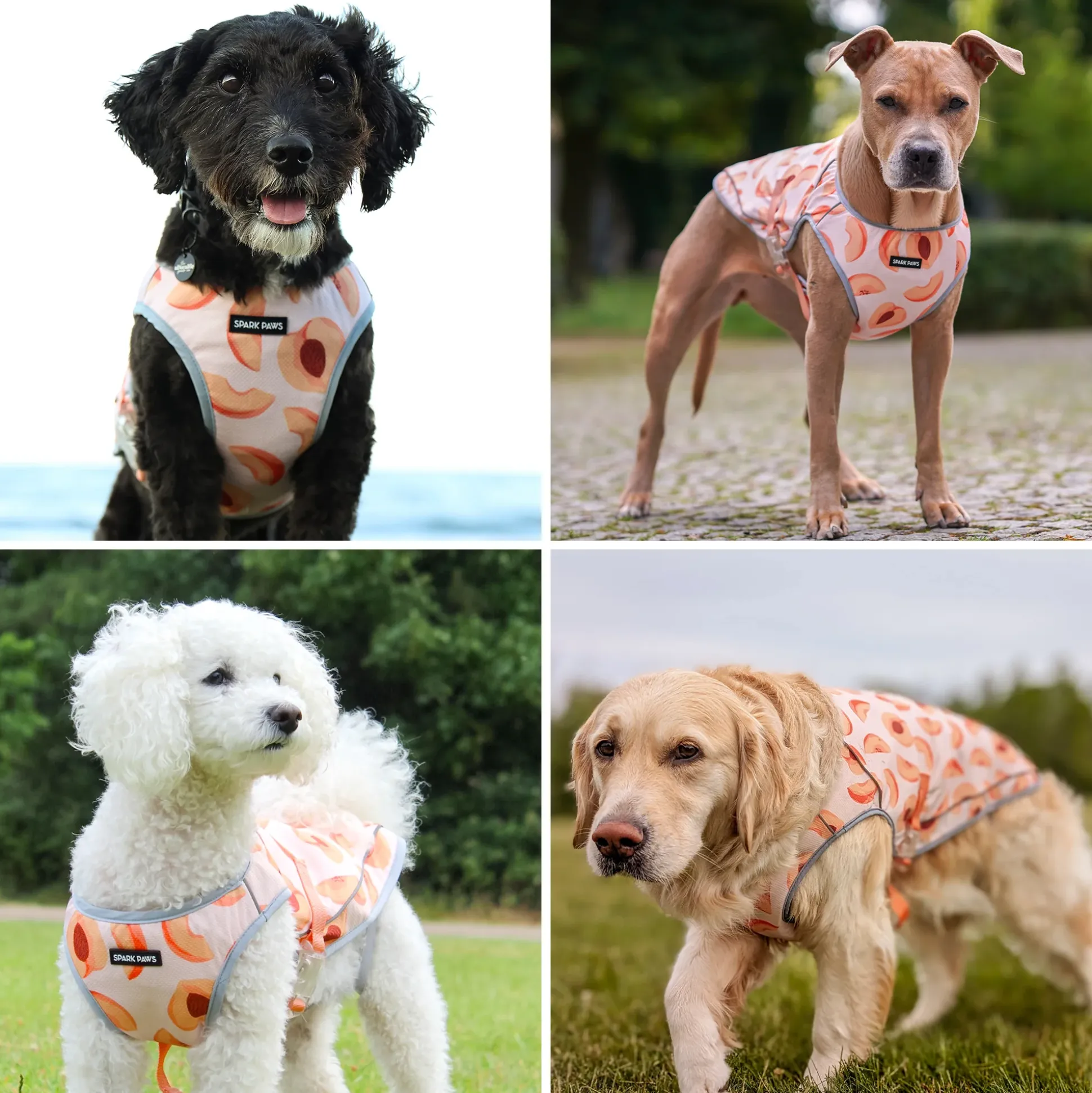 Chilltech™ Dog Cooling Vests