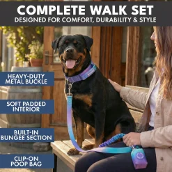 Comfort Control Collar and Multipurpose Leash Sets
