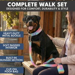 Comfort Control Collar and Multipurpose Leash Sets