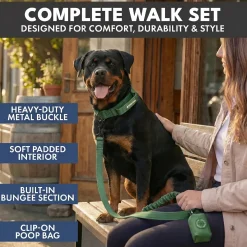 Comfort Control Collar and Multipurpose Leash Sets