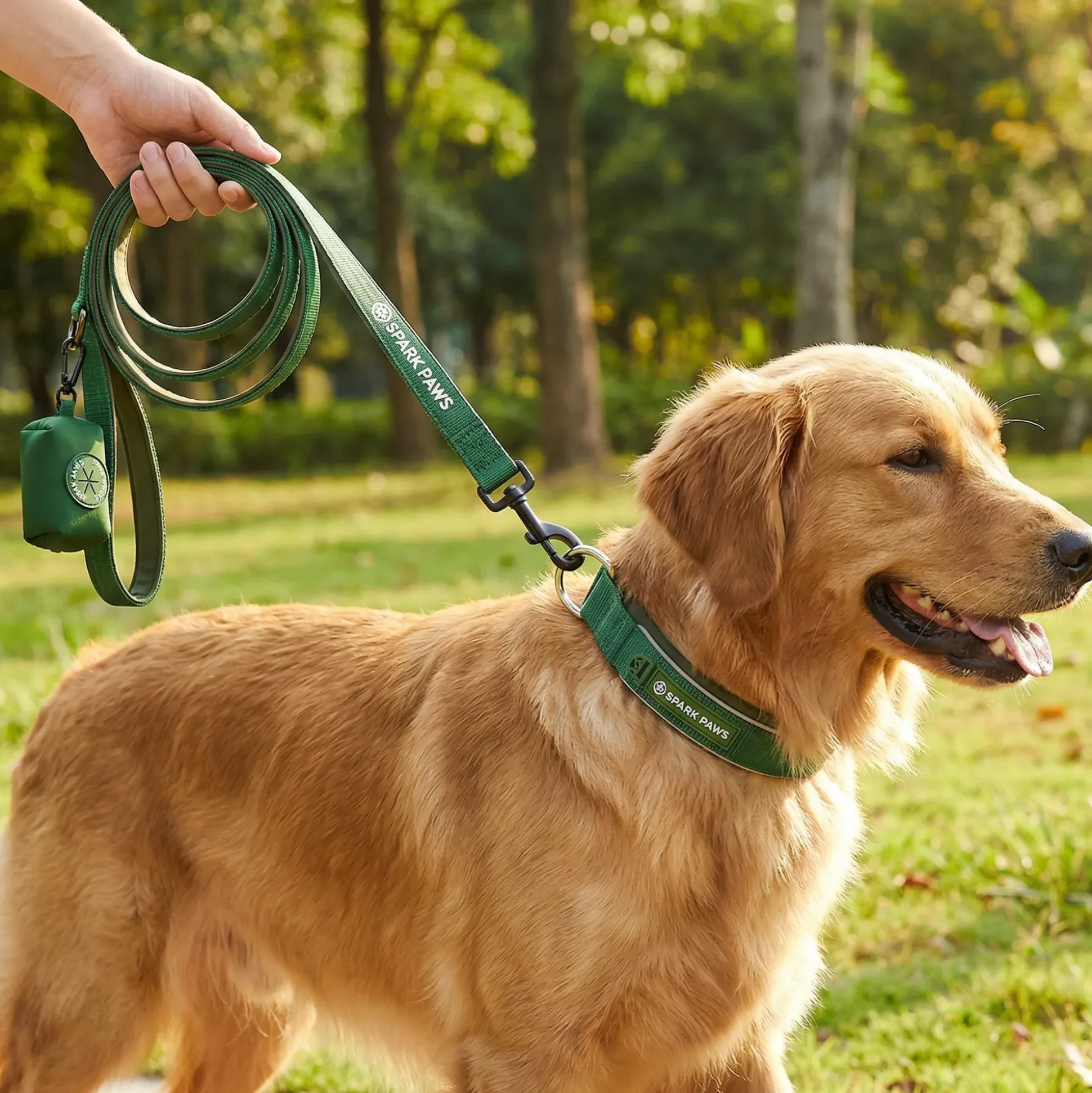 Comfort Control Collar and Multipurpose Leash Sets