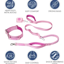 Comfort Control Collar and Multipurpose Leash Sets