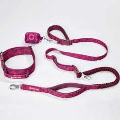 Comfort Control Collar and Multipurpose Leash Sets
