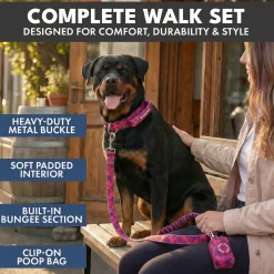Comfort Control Collar and Multipurpose Leash Sets