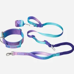Comfort Control Collar and Multipurpose Leash Sets