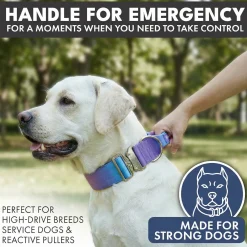 Comfort Control Collar and Multipurpose Leash Set - 90s Retro