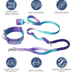 Comfort Control Collar and Multipurpose Leash Set - 90s Retro
