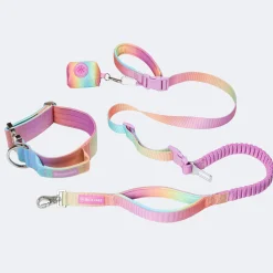 Comfort Control Collar and Multipurpose Leash Set - Pastel Icing