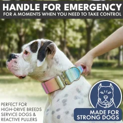 Comfort Control Collar and Multipurpose Leash Set - Pastel Icing