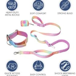 Comfort Control Collar and Multipurpose Leash Set - Pastel Icing