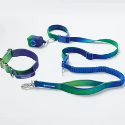 Comfort Control Collar and Multipurpose Leash Set - Lime Wave