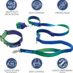 Comfort Control Collar and Multipurpose Leash Set - Lime Wave