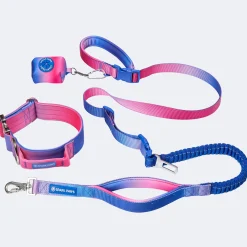 Comfort Control Collar and Multipurpose Leash Set - Snow Cone