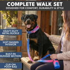 Comfort Control Collar and Multipurpose Leash Set - Snow Cone