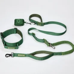 Comfort Control Collar and Multipurpose Leash Set - Green
