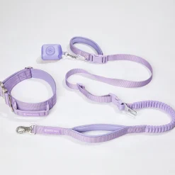 Comfort Control Collar and Multipurpose Leash Set - Lilac