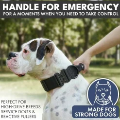 Comfort Control Collar and Multipurpose Leash Set - Black