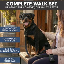 Comfort Control Collar and Multipurpose Leash Set - Black