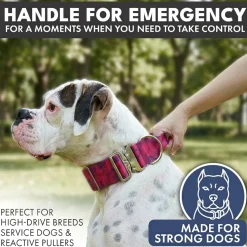 Comfort Control Collar and Multipurpose Leash Set - Fuchsia Camo
