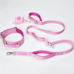 Comfort Control Collar and Multipurpose Leash Set - Pink