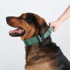 Comfort Control Collar - Army Green