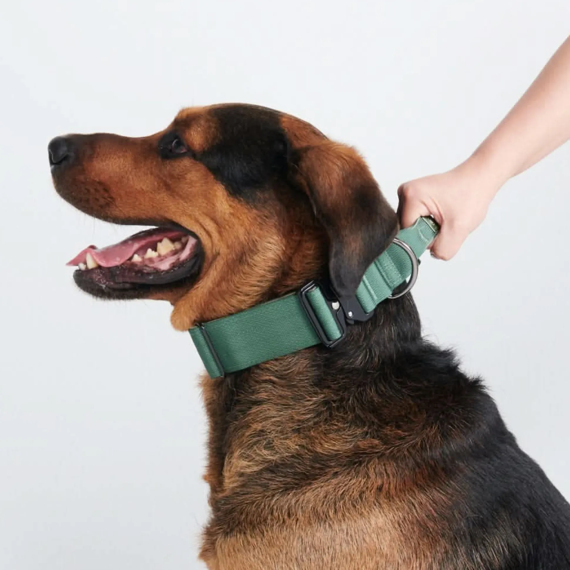 Comfort Control Collar - Army Green