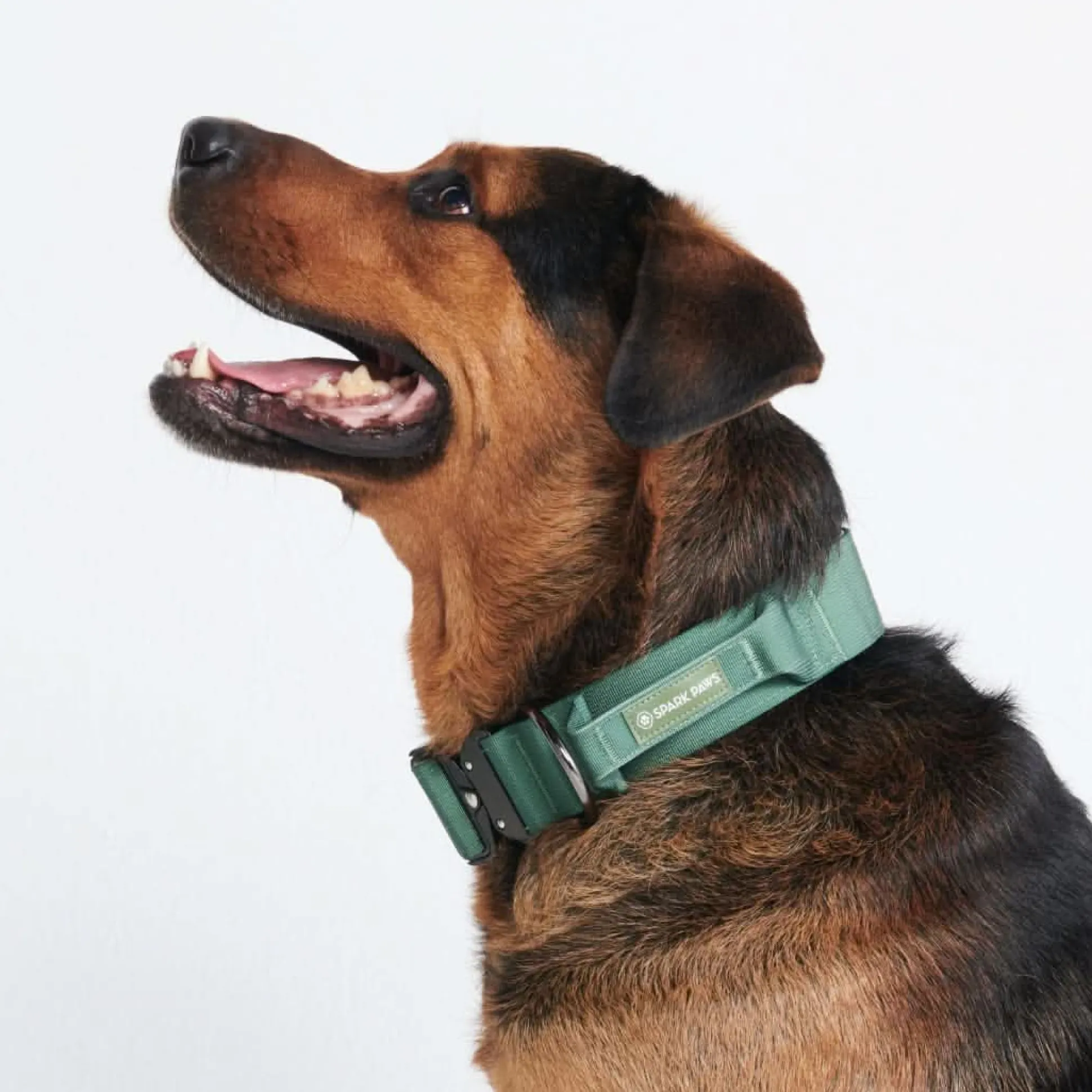 Comfort Control Collar - Army Green