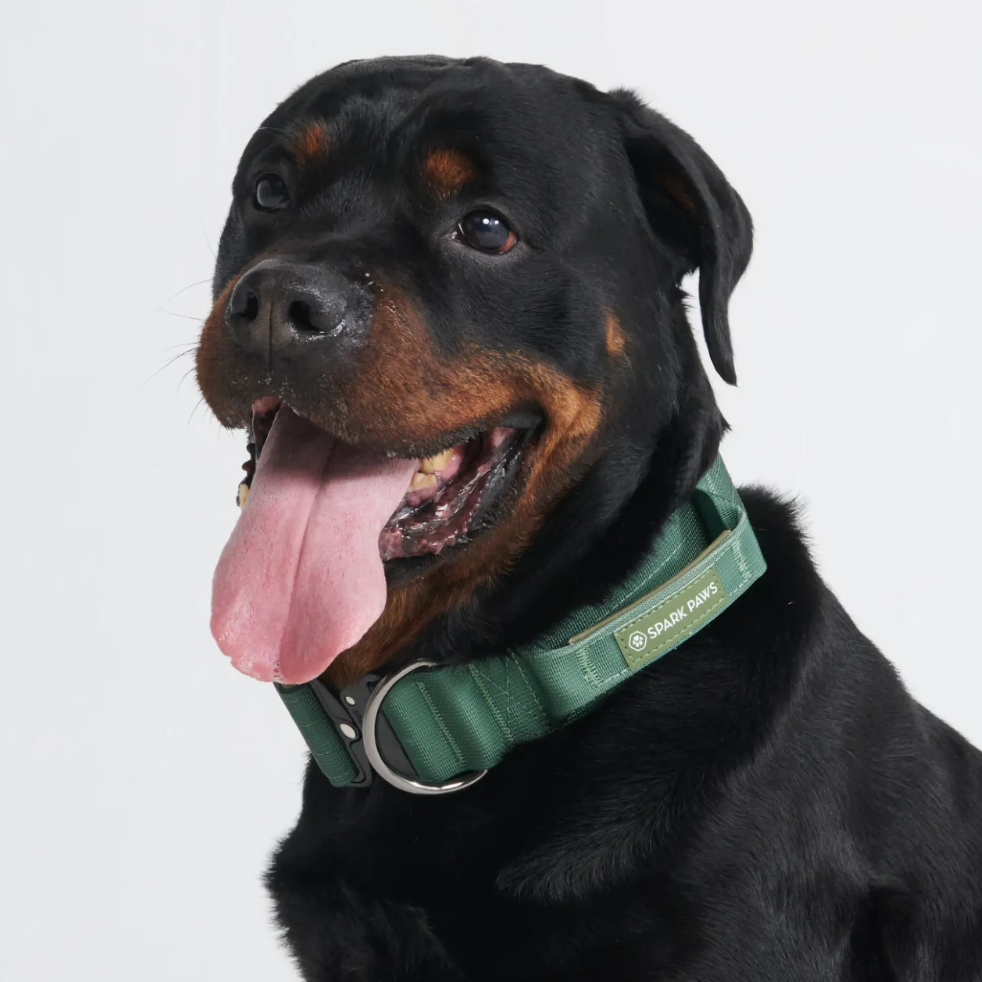 Comfort Control Collar - Army Green