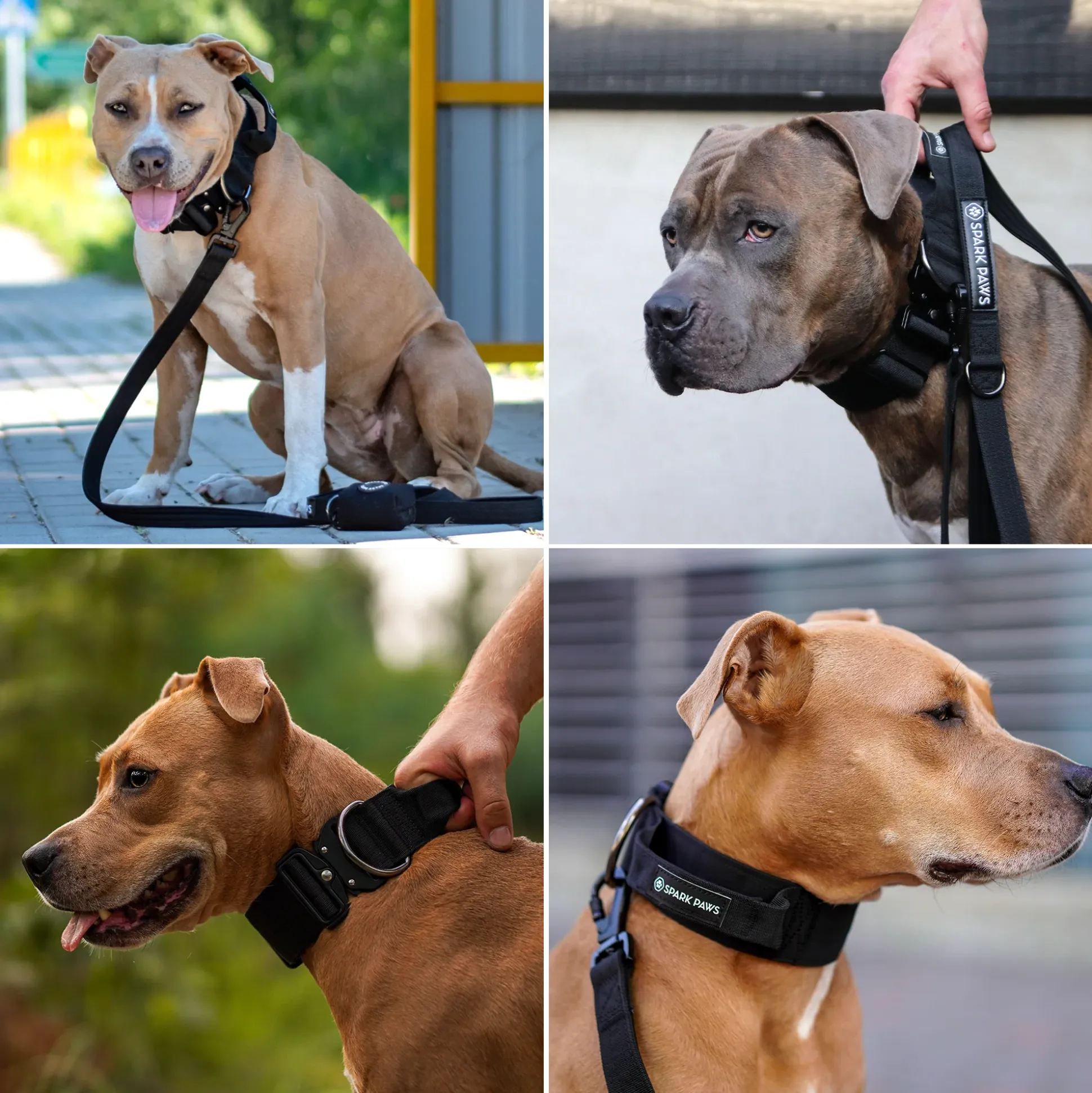 Comfort Control Collar - Black