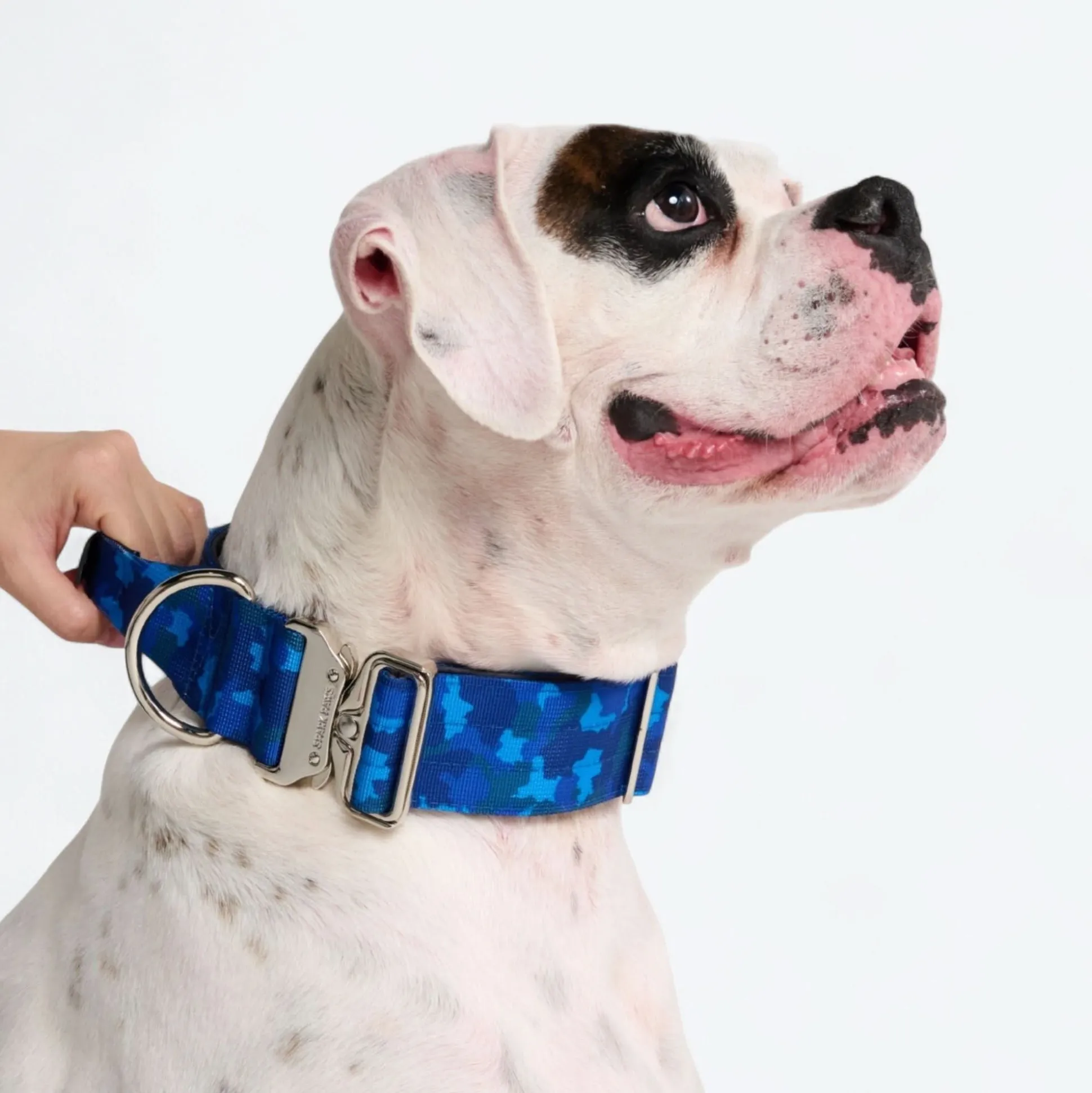 Comfort Control Collar - Blue Camo
