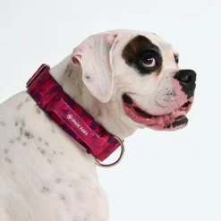 Comfort Control Collar - Fuchsia Camo