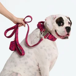 Comfort Control Collar - Fuchsia Camo