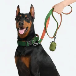 Comfort Control Collar - Green Orange