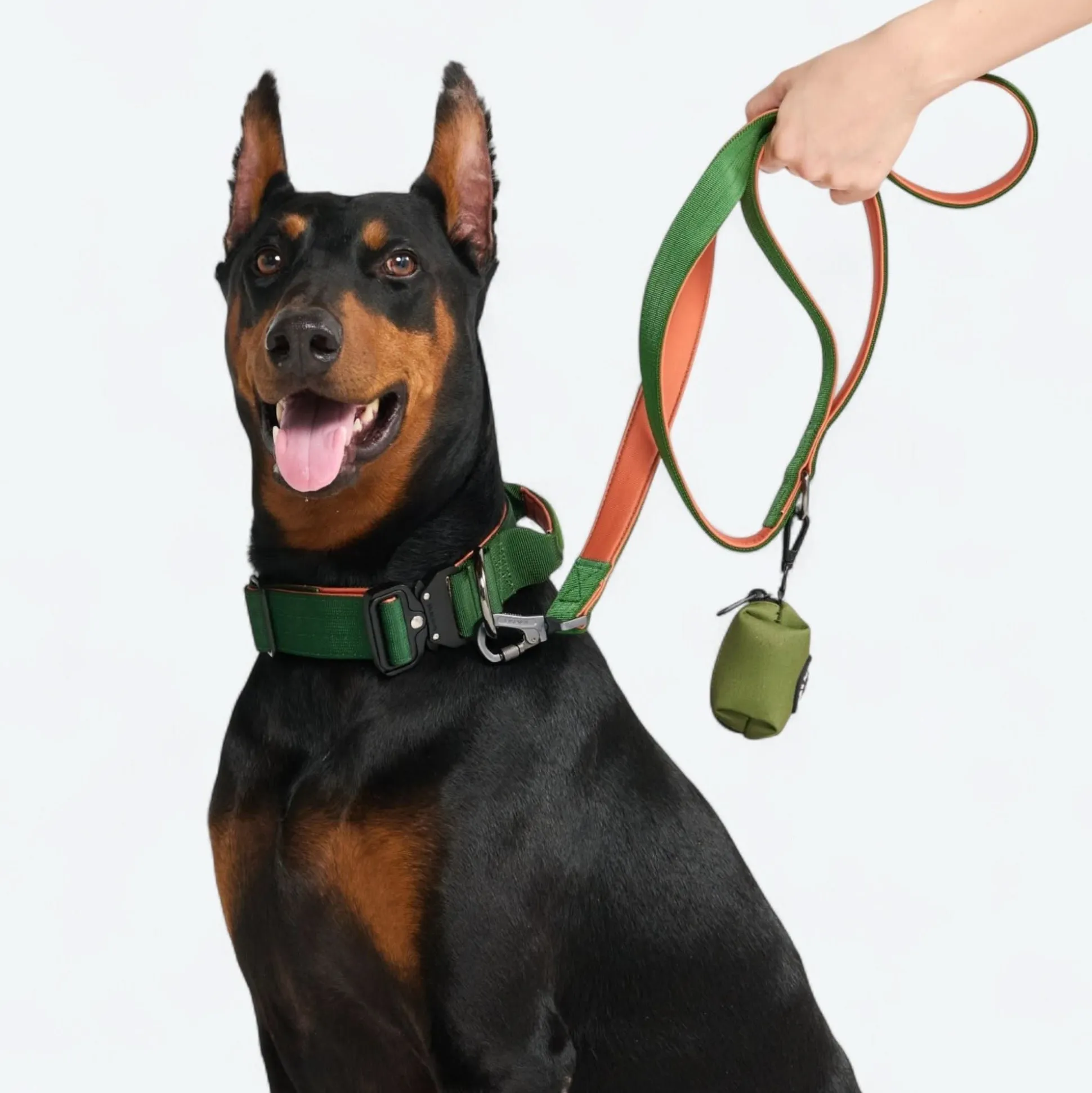 Comfort Control Collar - Green Orange