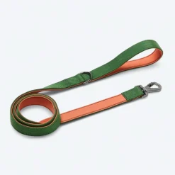 Comfort Control Collar - Green Orange