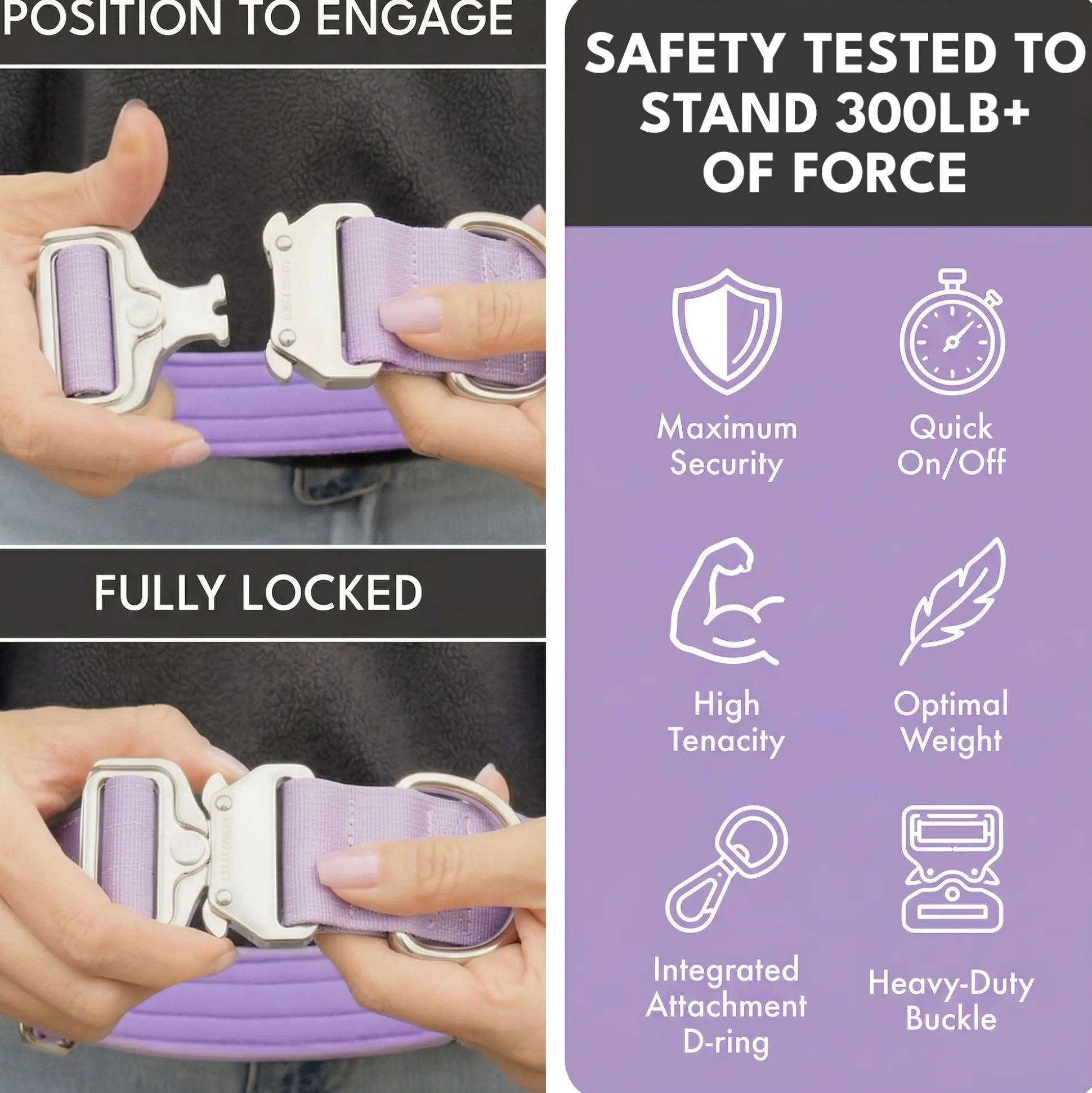 Comfort Control Collar - Lilac